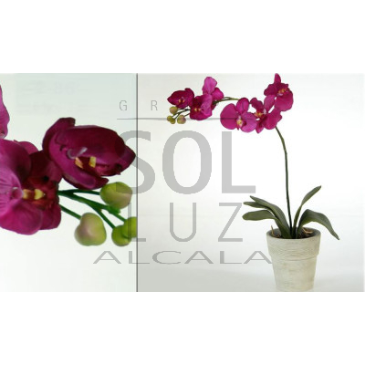 Maceta de orquídea fucsia